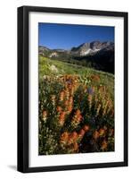 Meadow Wildflowers, Little Cottonwood Canyon, Albion Basin, Utah, USA-Charles Gurche-Framed Premium Photographic Print