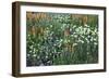 Meadow Wildflowers, Little Cottonwood Canyon, Albion Basin, Utah, USA-Charles Gurche-Framed Photographic Print