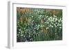 Meadow Wildflowers, Little Cottonwood Canyon, Albion Basin, Utah, USA-Charles Gurche-Framed Photographic Print