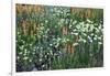 Meadow Wildflowers, Little Cottonwood Canyon, Albion Basin, Utah, USA-Charles Gurche-Framed Photographic Print