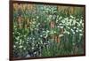 Meadow Wildflowers, Little Cottonwood Canyon, Albion Basin, Utah, USA-Charles Gurche-Framed Photographic Print