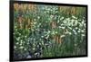 Meadow Wildflowers, Little Cottonwood Canyon, Albion Basin, Utah, USA-Charles Gurche-Framed Photographic Print