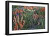 Meadow Wildflowers, Little Cottonwood Canyon, Albion Basin, Utah, USA-Charles Gurche-Framed Photographic Print