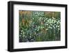 Meadow Wildflowers, Little Cottonwood Canyon, Albion Basin, Utah, USA-Charles Gurche-Framed Photographic Print