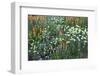 Meadow Wildflowers, Little Cottonwood Canyon, Albion Basin, Utah, USA-Charles Gurche-Framed Photographic Print