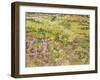 Meadow with Butterflies, 1890-Vincent van Gogh-Framed Giclee Print