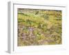 Meadow with Butterflies, 1890-Vincent van Gogh-Framed Giclee Print