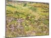 Meadow with Butterflies, 1890-Vincent van Gogh-Mounted Giclee Print