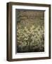 Meadow with Flowers, 1900-1903-Giuseppe Pelizza da volpedo-Framed Giclee Print