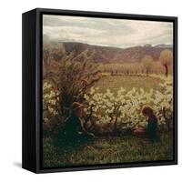 Meadow with Flowers, 1900-1903-Giuseppe Pelizza da volpedo-Framed Stretched Canvas