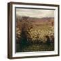 Meadow with Flowers, 1900-1903-Giuseppe Pelizza da volpedo-Framed Giclee Print