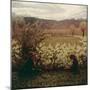 Meadow with Flowers, 1900-1903-Giuseppe Pelizza da volpedo-Mounted Giclee Print