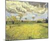 Meadow with Flowers under a Stormy Sky, 1888-Vincent van Gogh-Mounted Giclee Print