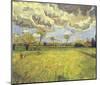 Meadow with Flowers under a Stormy Sky, 1888-Vincent van Gogh-Mounted Art Print