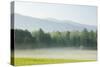 Meadow with Fog, Mountain Range in Background-Tony Sweet-Stretched Canvas