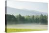 Meadow with Fog, Mountain Range in Background-Tony Sweet-Stretched Canvas