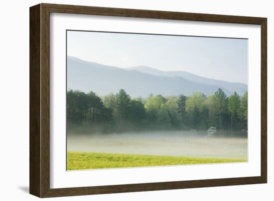 Meadow with Fog, Mountain Range in Background-Tony Sweet-Framed Photographic Print