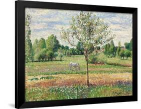 Meadow with Grey Horse, Eragny, 1893-Camille Pissarro-Framed Giclee Print