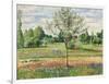 Meadow with Grey Horse, Eragny, 1893-Camille Pissarro-Framed Giclee Print