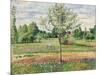 Meadow with Grey Horse, Eragny, 1893-Camille Pissarro-Mounted Giclee Print