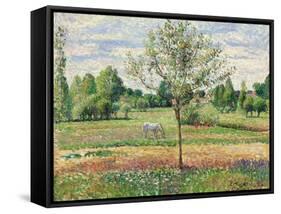 Meadow with Grey Horse, Eragny, 1893-Camille Pissarro-Framed Stretched Canvas