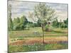 Meadow with Grey Horse, Eragny, 1893-Camille Pissarro-Mounted Giclee Print