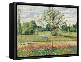 Meadow with Grey Horse, Eragny, 1893-Camille Pissarro-Framed Stretched Canvas