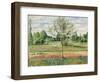 Meadow with Grey Horse, Eragny, 1893-Camille Pissarro-Framed Premium Giclee Print