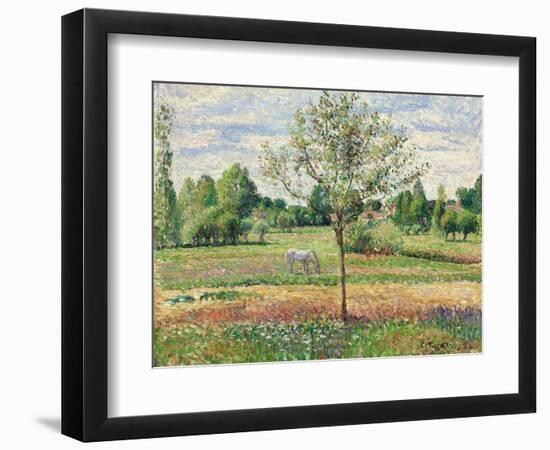 Meadow with Grey Horse, Eragny, 1893-Camille Pissarro-Framed Premium Giclee Print