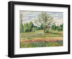 Meadow with Grey Horse, Eragny, 1893-Camille Pissarro-Framed Premium Giclee Print