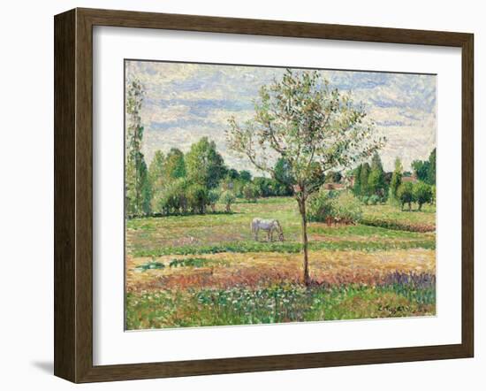 Meadow with Grey Horse, Eragny, 1893-Camille Pissarro-Framed Giclee Print