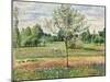 Meadow with Grey Horse, Eragny, 1893-Camille Pissarro-Mounted Giclee Print