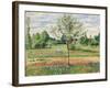 Meadow with Grey Horse, Eragny (Le Pré avec Cheval Gris, Eragny). 1893-Camille Pissarro-Framed Giclee Print