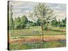 Meadow with Grey Horse, Eragny (Le Pré avec Cheval Gris, Eragny). 1893-Camille Pissarro-Stretched Canvas