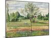 Meadow with Grey Horse, Eragny (Le Pré avec Cheval Gris, Eragny). 1893-Camille Pissarro-Mounted Giclee Print