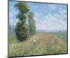Meadow with Poplars, about 1875-Claude Monet-Mounted Art Print
