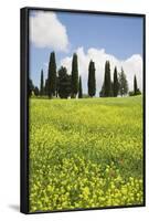 Meadow with Wildflowers and Cypresses-Markus Lange-Framed Photographic Print