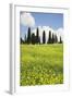 Meadow with Wildflowers and Cypresses-Markus Lange-Framed Photographic Print