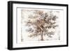 Meadow Wood 2-Sheldon Lewis-Framed Art Print