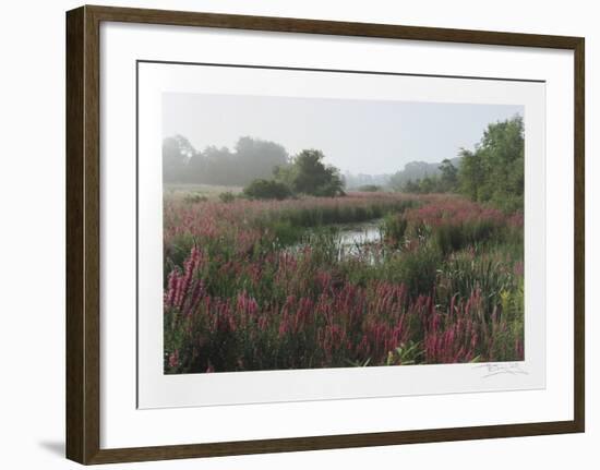 Meadow-Harvey Edwards-Framed Collectable Print