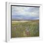 Meadow-Sidney Paul & Co.-Framed Giclee Print