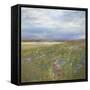 Meadow-Sidney Paul & Co.-Framed Stretched Canvas