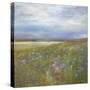 Meadow-Sidney Paul & Co.-Stretched Canvas
