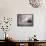 Meadowbank Farm-Carol Highsmith-Framed Stretched Canvas displayed on a wall