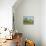 Meadowland (The Pasture)-Henri Rousseau-Giclee Print displayed on a wall