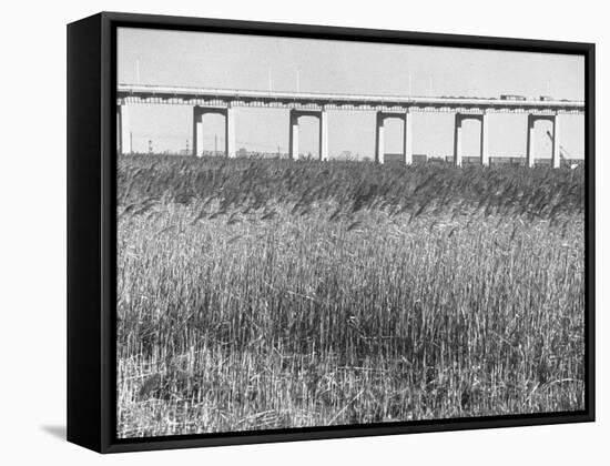 Meadowlands Below the New Jersey Turnpike-null-Framed Stretched Canvas