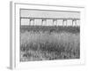 Meadowlands Below the New Jersey Turnpike-null-Framed Photographic Print