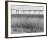 Meadowlands Below the New Jersey Turnpike-null-Framed Photographic Print