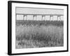 Meadowlands Below the New Jersey Turnpike-null-Framed Photographic Print