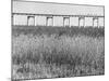 Meadowlands Below the New Jersey Turnpike-null-Mounted Photographic Print